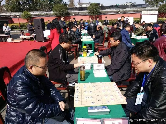 云南象棋比赛2017精彩瞬间回顾