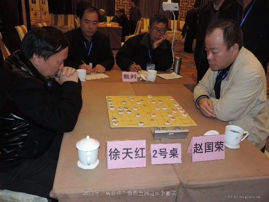 回顾2013年中国象棋比赛历程与成果-第3张图片-www.211178.com_果博福布斯