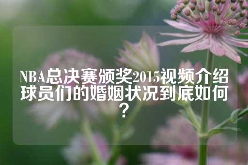 NBA总决赛颁奖2015视频介绍球员们的婚姻状况到底如何？-第1张图片-皇冠信用盘出租