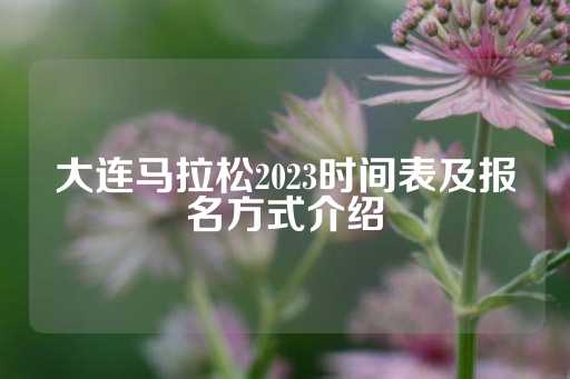 大连马拉松2023时间表及报名方式介绍