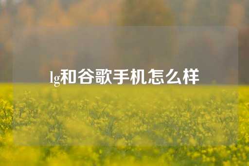 lg和谷歌手机怎么样