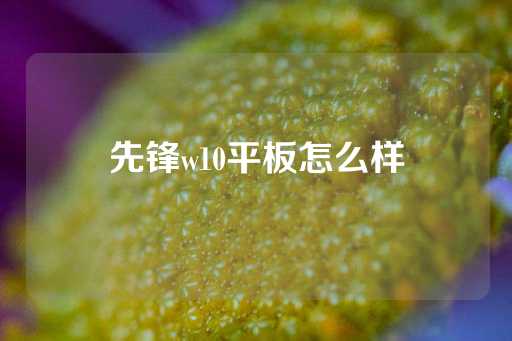 先锋w10平板怎么样-第1张图片-皇冠信用盘出租