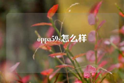 oppa59s怎么样