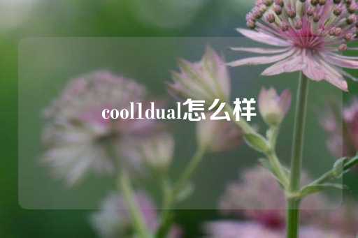 cool1dual怎么样-第1张图片-皇冠信用盘出租