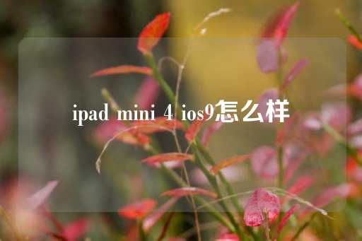 ipad mini 4 ios9怎么样-第1张图片-皇冠信用盘出租